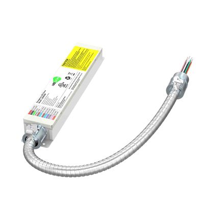 347V 25 와트 120mA 비상 여벌 전지 주도하는 드라이버